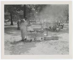 Belmont Lake State Park. Picnic Areas, Playgrounds