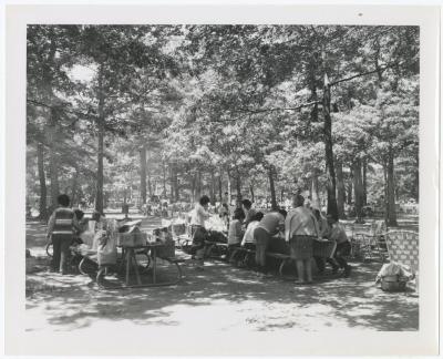 Belmont Lake State Park. Picnic Area and Row Boating