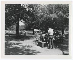 Belmont Lake State Park. Picnic Area and Row Boating