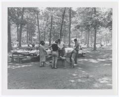 Belmont Lake State Park. Picnic Area and Row Boating