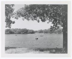 Belmont Lake State Park. Picnic Area and Row Boating