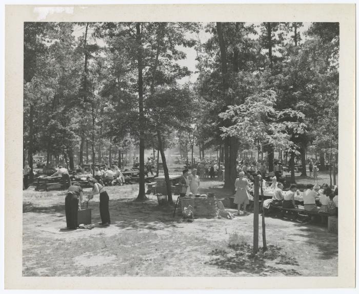 Belmont Lake State Park. Picnic Areas, Playgrounds