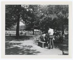 Belmont Lake State Park. Picnic Area and Row Boating
