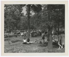 Belmont Lake State Park. Picnic Areas, Playgrounds