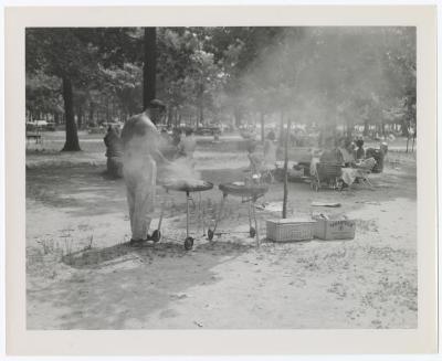 Belmont Lake State Park. Picnic Areas, Playgrounds