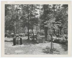 Belmont Lake State Park. Picnic Areas, Playgrounds