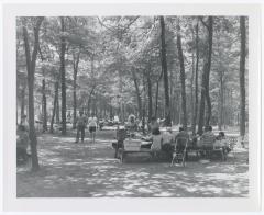 Belmont Lake State Park. Picnic Area and Row Boating