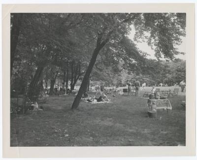 Belmont Lake State Park. Picnic Areas, Playgrounds