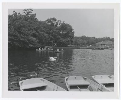 Belmont Lake State Park. Scenes