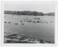 Belmont Lake State Park. Scenes