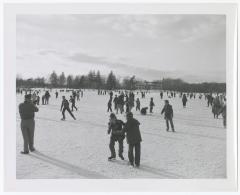 Belmont Lake State Park. Skating