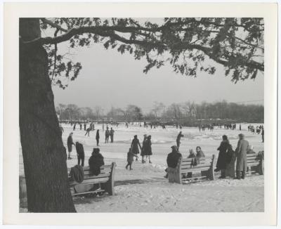 Belmont Lake State Park. Skating