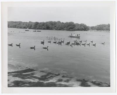Belmont Lake State Park. Scenes
