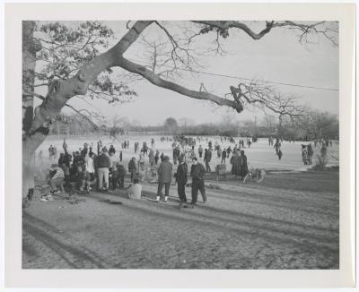 Belmont Lake State Park. Skating
