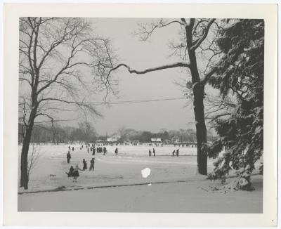 Belmont Lake State Park. Skating