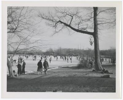 Belmont Lake State Park. Skating