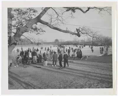 Belmont Lake State Park. Skating