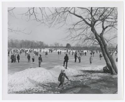 Belmont Lake State Park. Skating