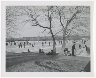 Belmont Lake State Park. Skating