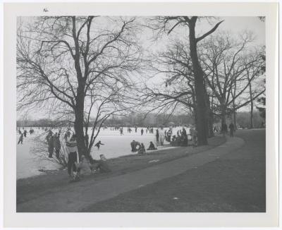Belmont Lake State Park. Skating