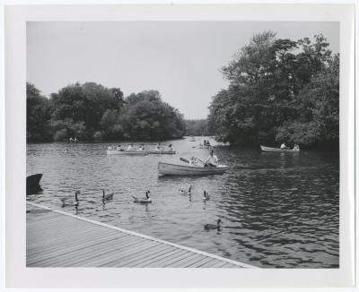 Belmont Lake State Park. Scenes