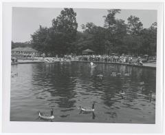 Belmont Lake State Park. Scenes