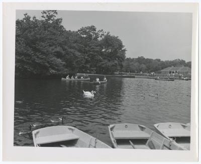 Belmont Lake State Park. Scenes