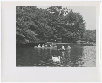 Belmont Lake State Park. Scenes