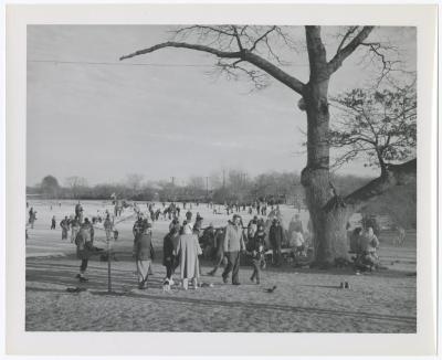 Belmont Lake State Park. Skating