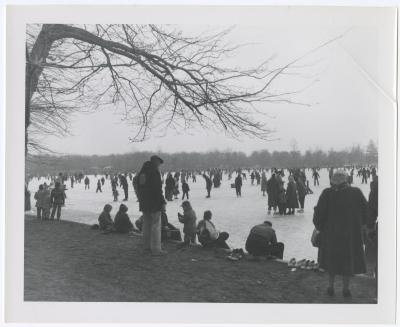 Belmont Lake State Park. Skating