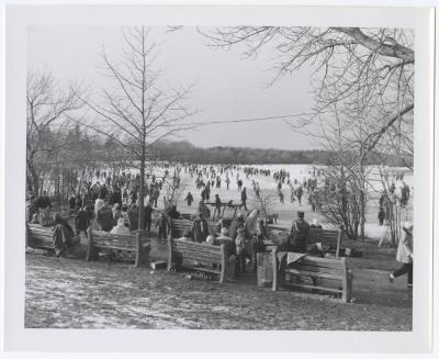 Belmont Lake State Park. Skating