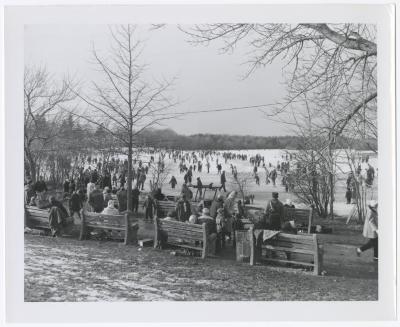 Belmont Lake State Park. Skating