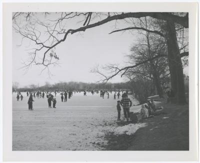 Belmont Lake State Park. Skating
