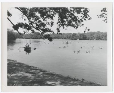 Belmont Lake State Park. Scenes