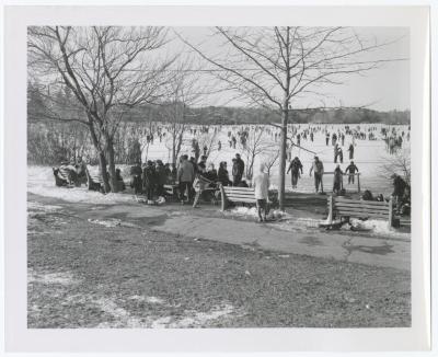 Belmont Lake State Park. Skating