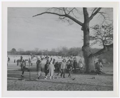 Belmont Lake State Park. Skating