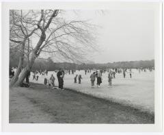 Belmont Lake State Park. Skating