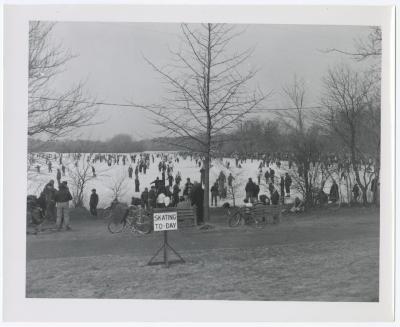 Belmont Lake State Park. Skating