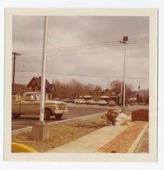 Landscape Development