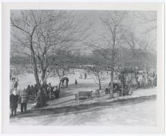 Belmont Lake State Park. Skating
