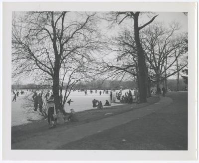 Belmont Lake State Park. Skating