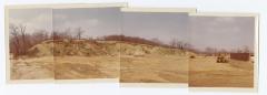 Landscape Development