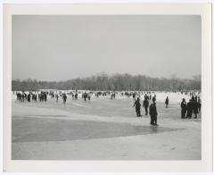 Belmont Lake State Park. Skating