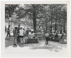 Belmont Lake State Park Patrons in Picnic Area