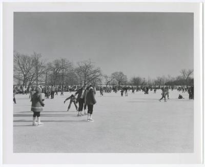 Belmont Lake State Park. Skating