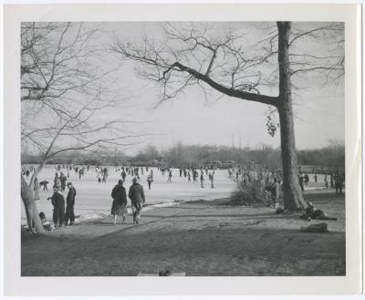 Belmont Lake State Park. Skating