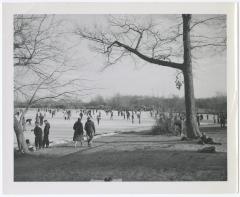 Belmont Lake State Park. Skating