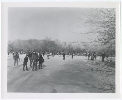 Belmont Lake State Park. Skating