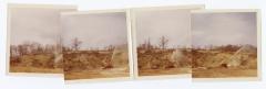 Landscape Development