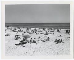 Robert Moses State Park Patrons Sunbathing